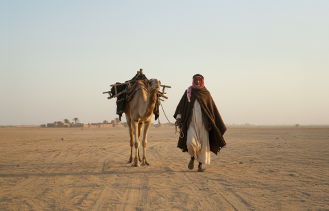 35bc1044-6477-422e-aa07-863809c0cf77